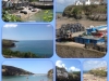 collage-2
